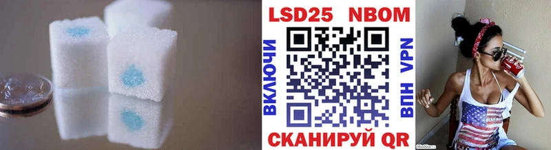 KRAKEN онион  цена наркотик  Староминская  LSD-25 экстази кислота 